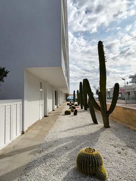 Außenansicht The Sea Hotel by Grupotel - Adults only