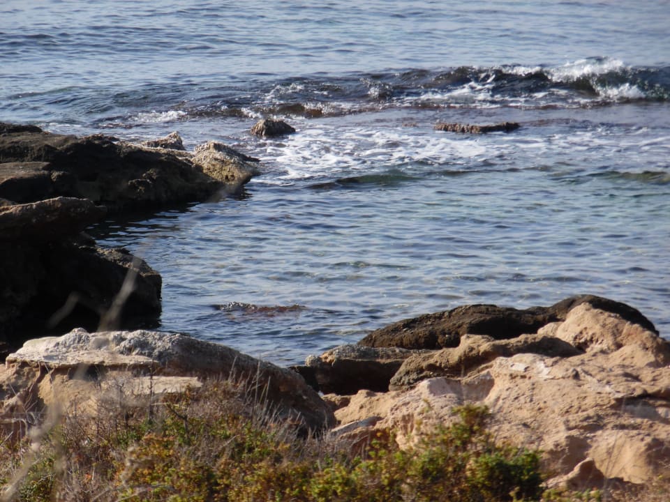 Spazierweg Richtung Palma AluaSoul Palma