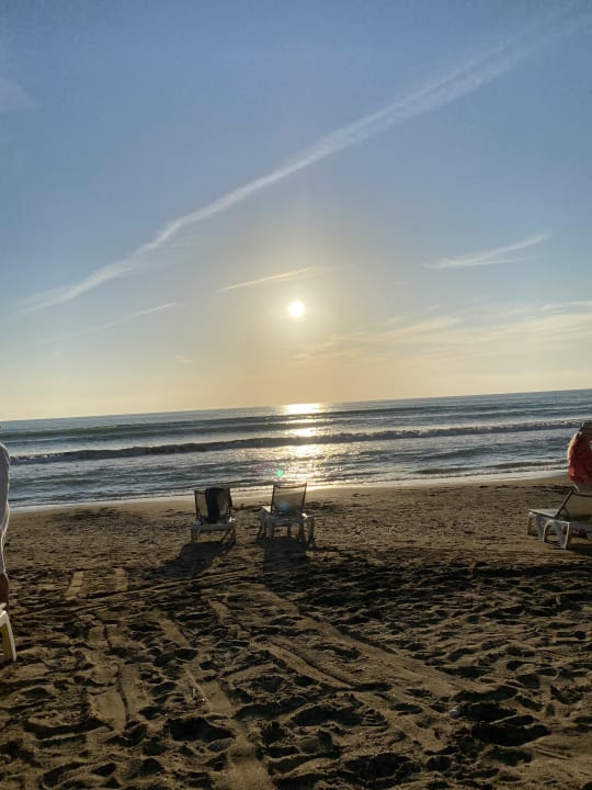 Strand Acanthus Cennet Barut Collection