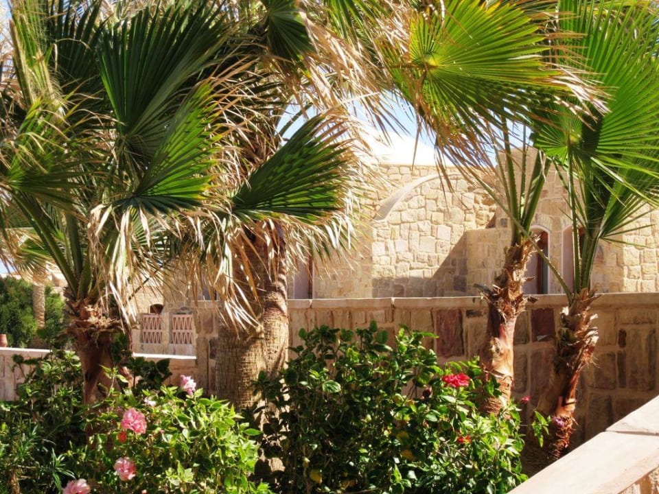 Innenansichten Mövenpick Resort El Quseir