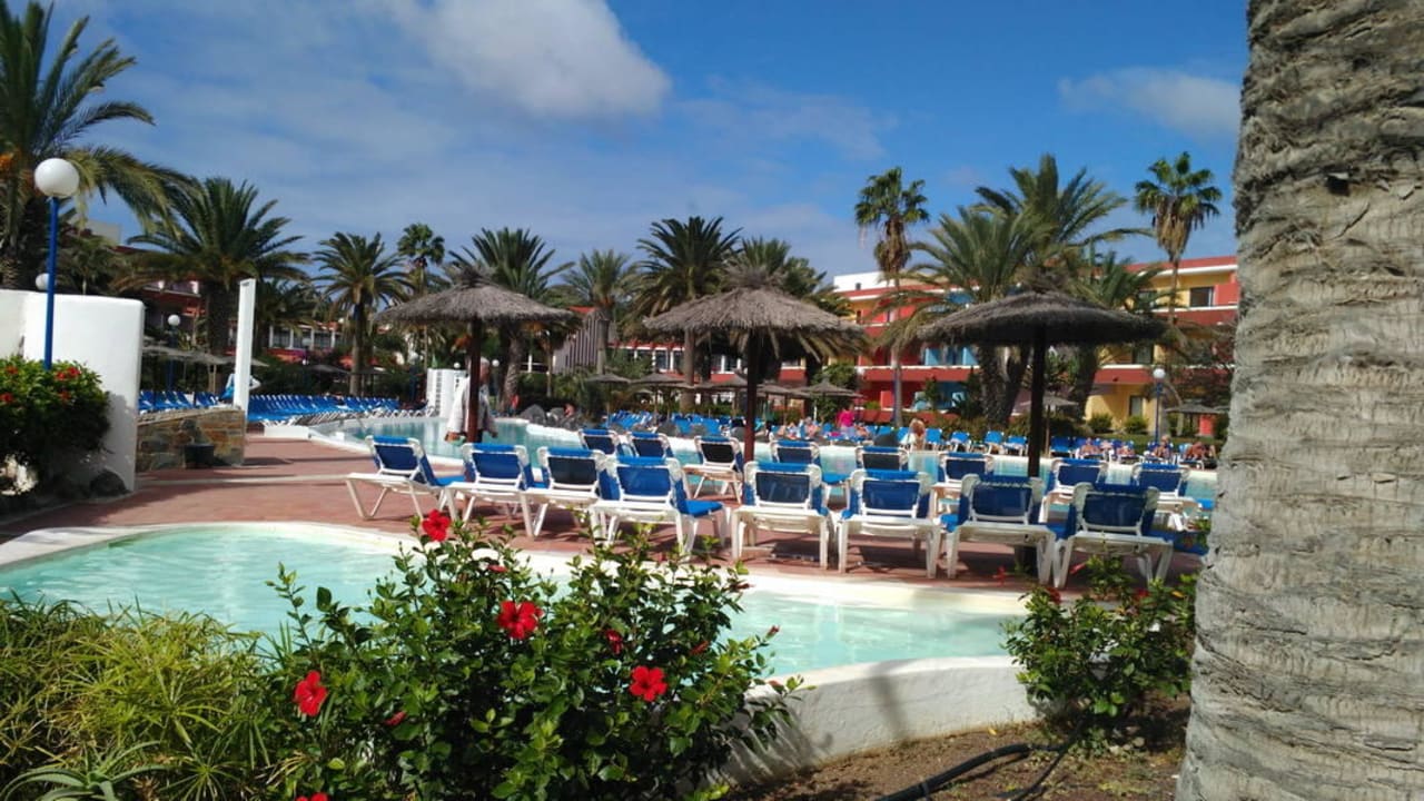 Es gibt reichlich Liegen SBH Fuerteventura Playa