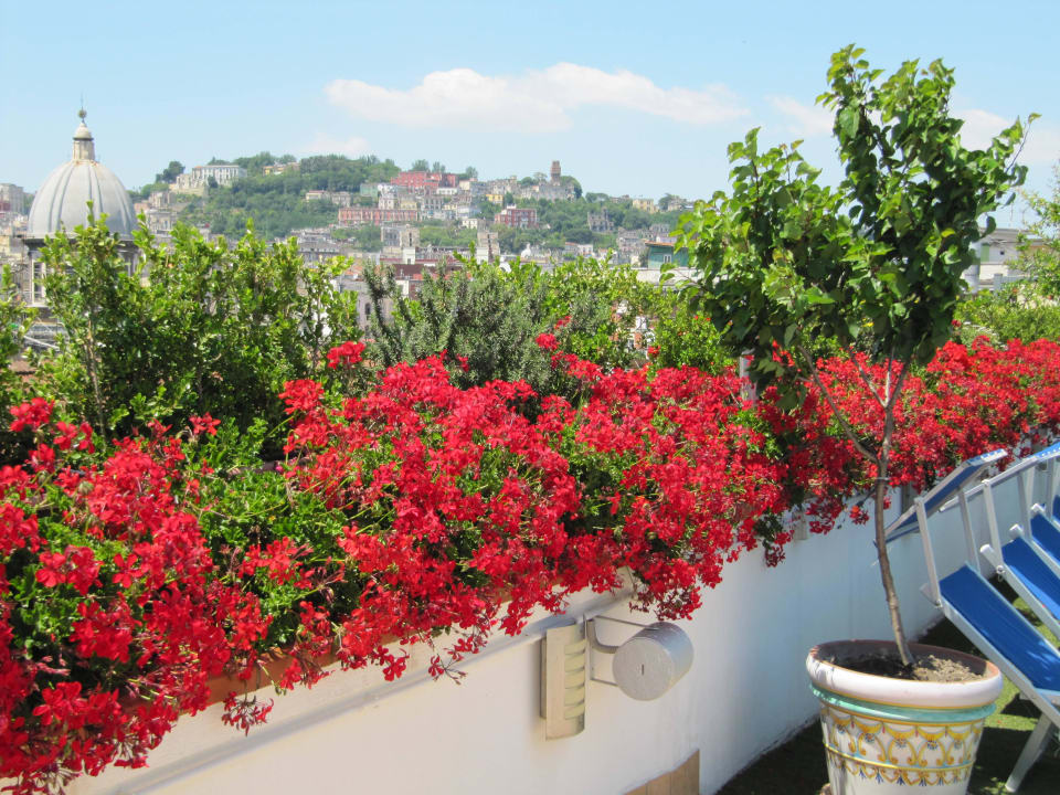 Dachterrasse B&B Sweet Sleep