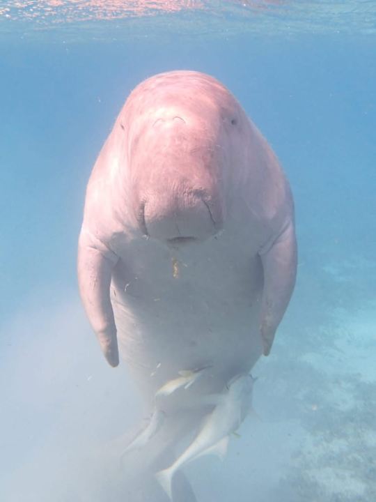 Sport & Freizeit Jaz Solaya