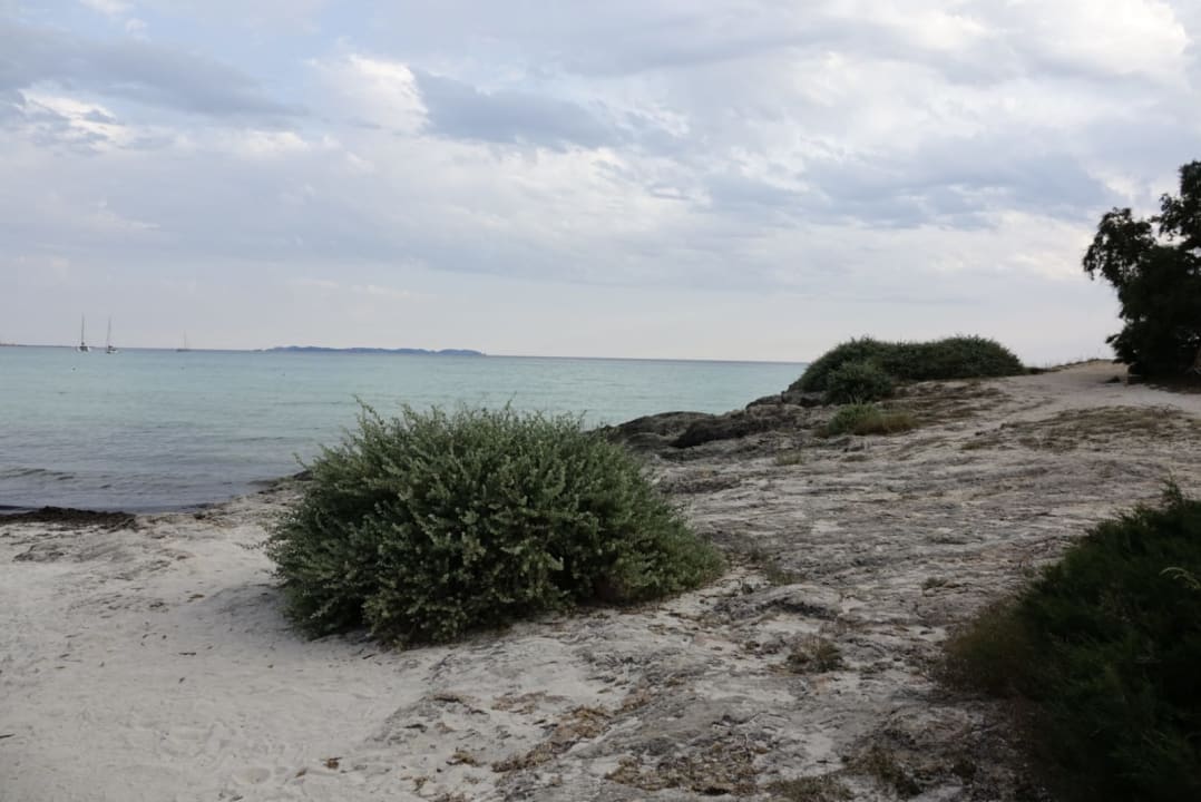 Strand Iberostar Waves Club Cala Barca