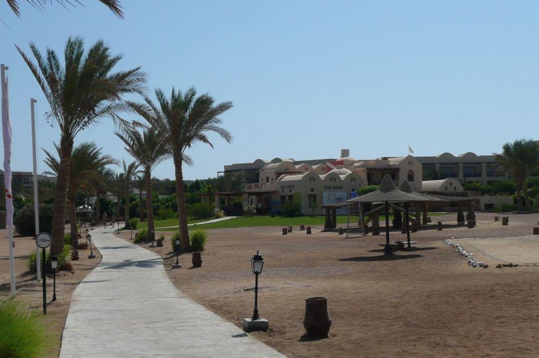 Weg zur Tauchbasis Steigenberger Coraya Beach - Adults only