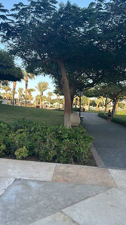 Gartenanlage Steigenberger ALDAU Beach Hotel