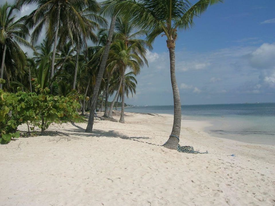 Strand Catalonia Punta Cana - All Inclusive