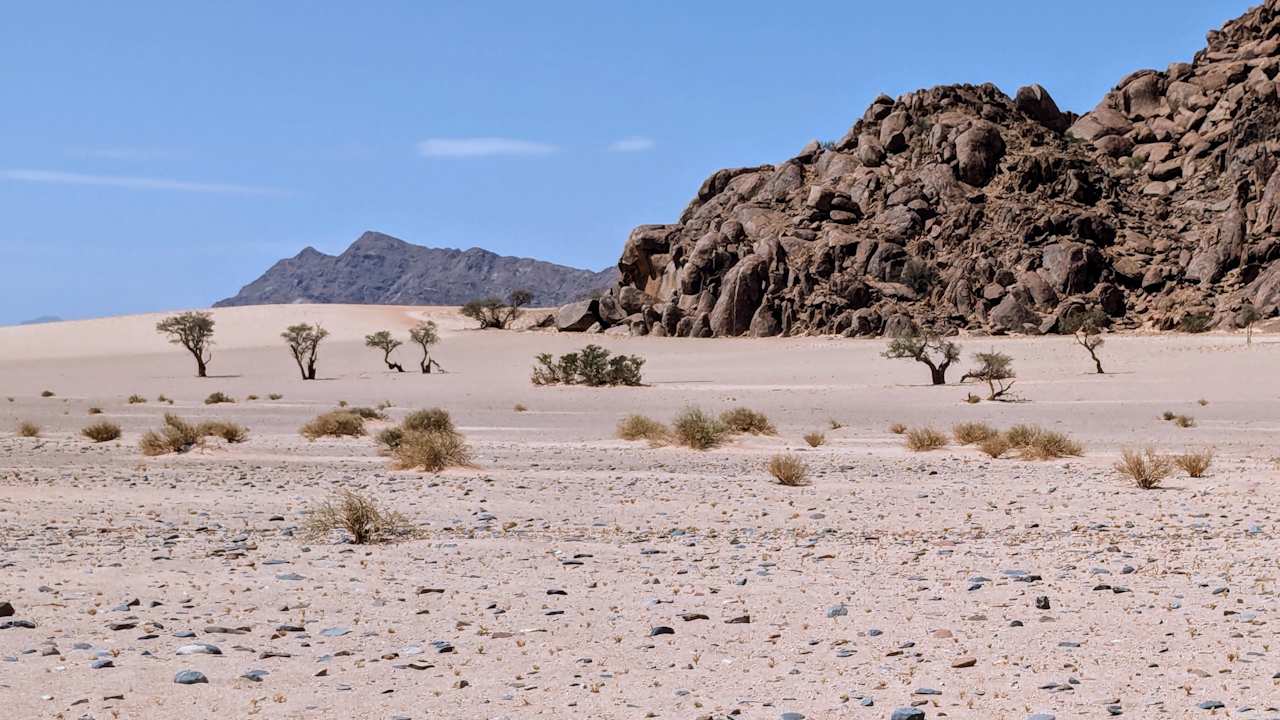 Gartenanlage Desert Camp