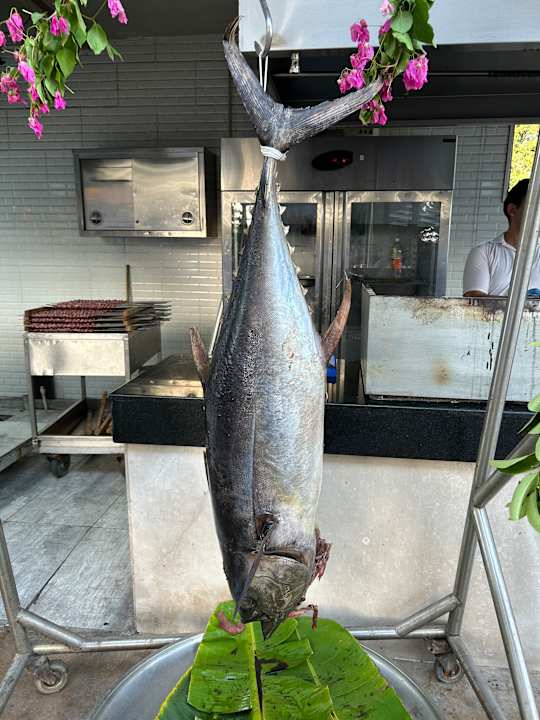 Gastro Saturn Palace Resort Hotel