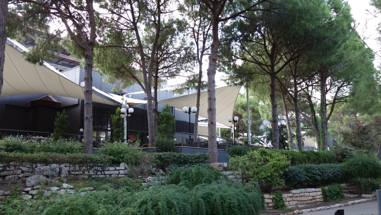 Gartenanlage Balmy Foresta