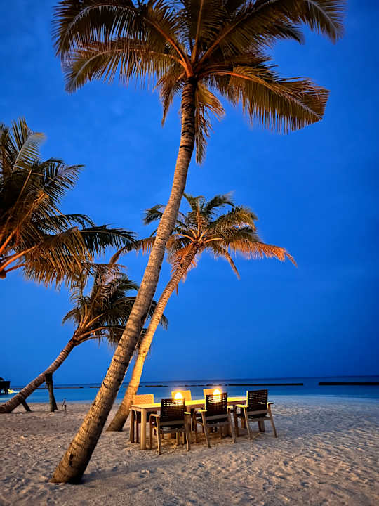 Gastro Veligandu Maldives Resort Island