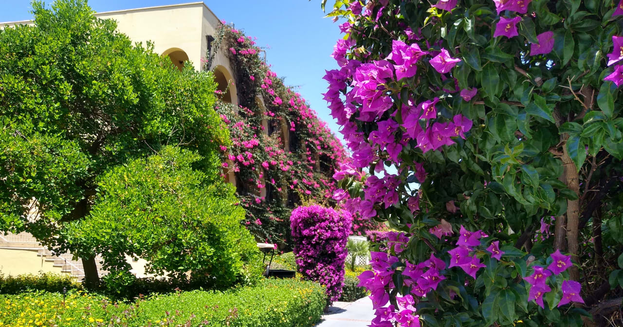 Außenansicht TUI MAGIC LIFE Calabria