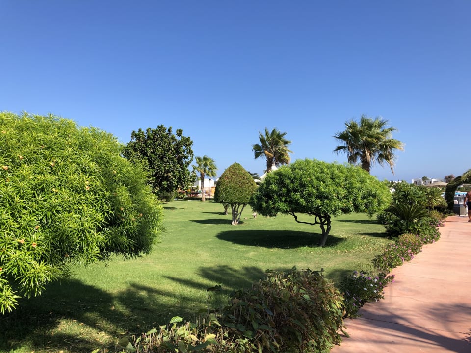 Gartenanlage Hotel Gorgonia Beach Resort