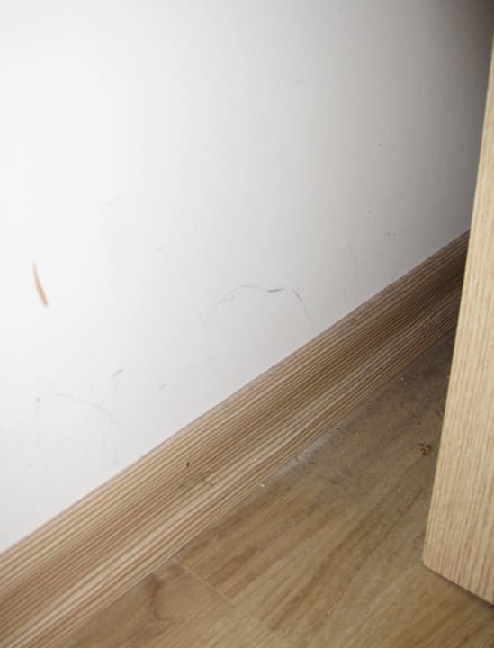 In den Ecken wurde nicht gewischt Gardenia Hotel