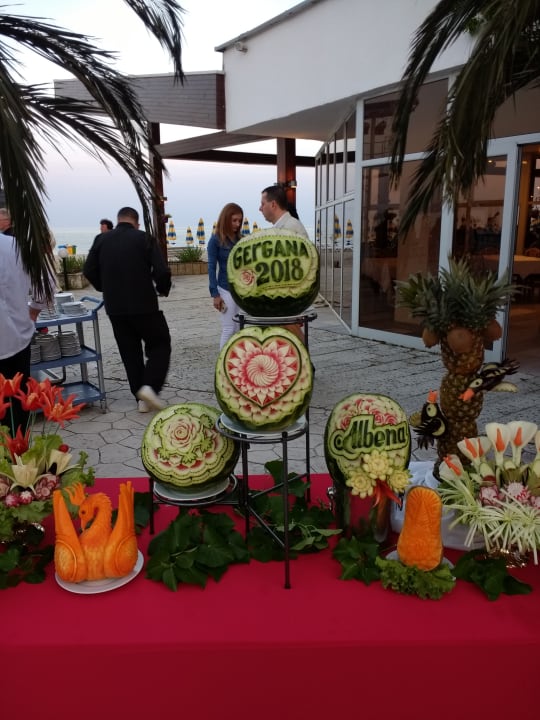 Gastro Hotel Slavuna