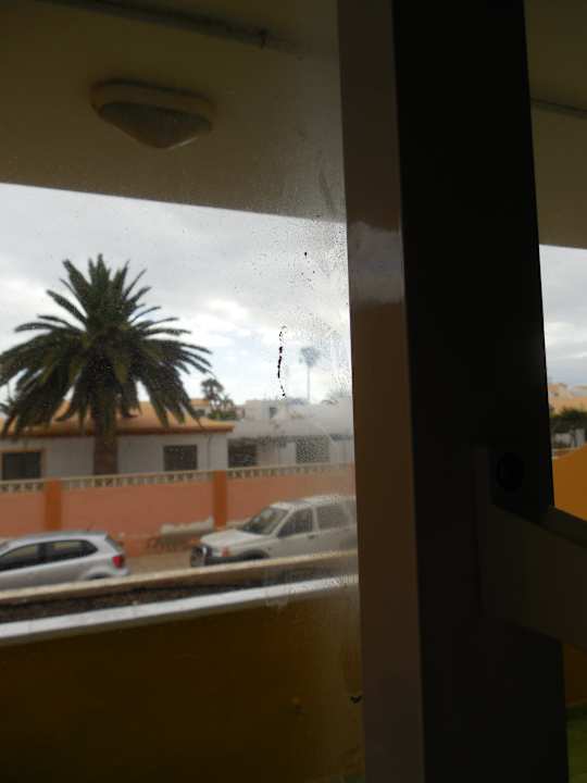 Zimmer Caleta Garden