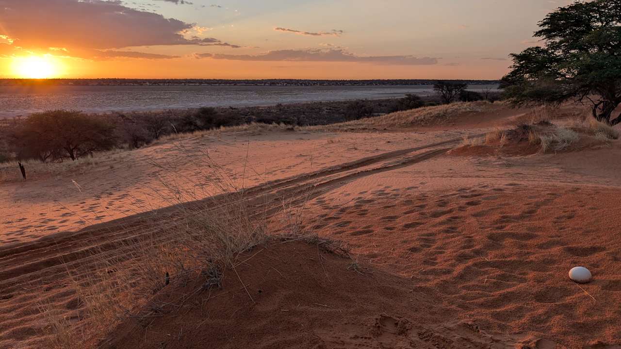 Gartenanlage Jansen Kalahari Guest Farm