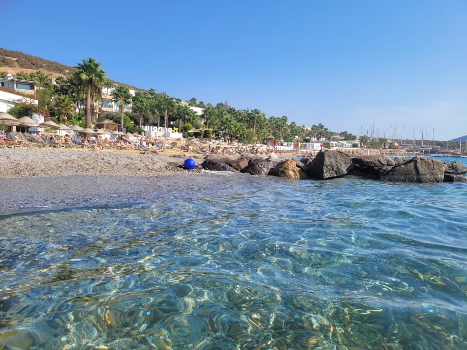 Strand TUI MAGIC LIFE Bodrum - Adult Only (16+)