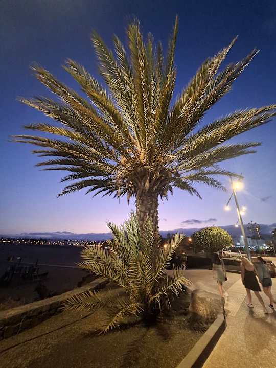 Strand Relaxia Olivina