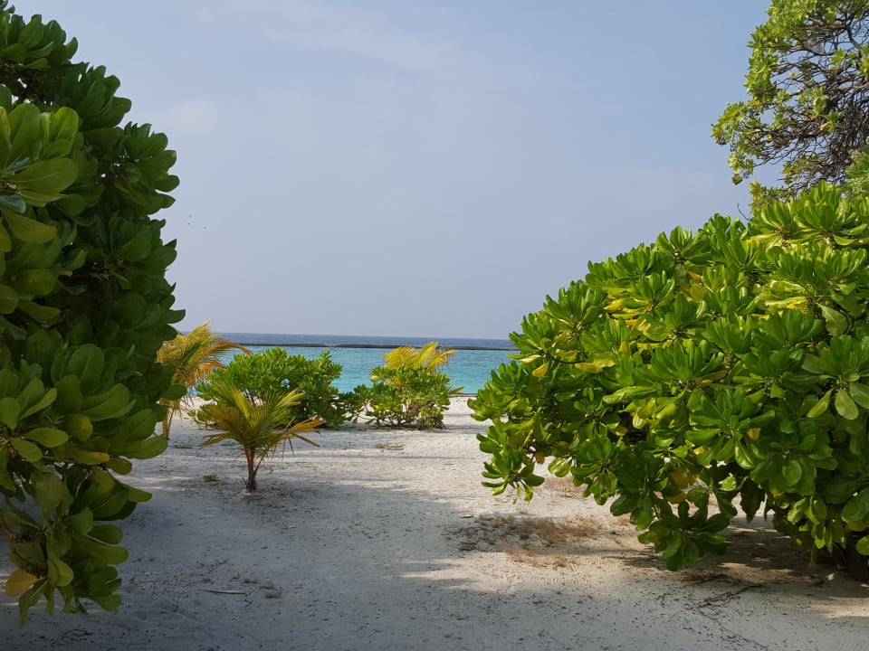 Ausblick vom Bungalo Adaaran Select Meedhupparu Island Resort - Premium All Inclusive