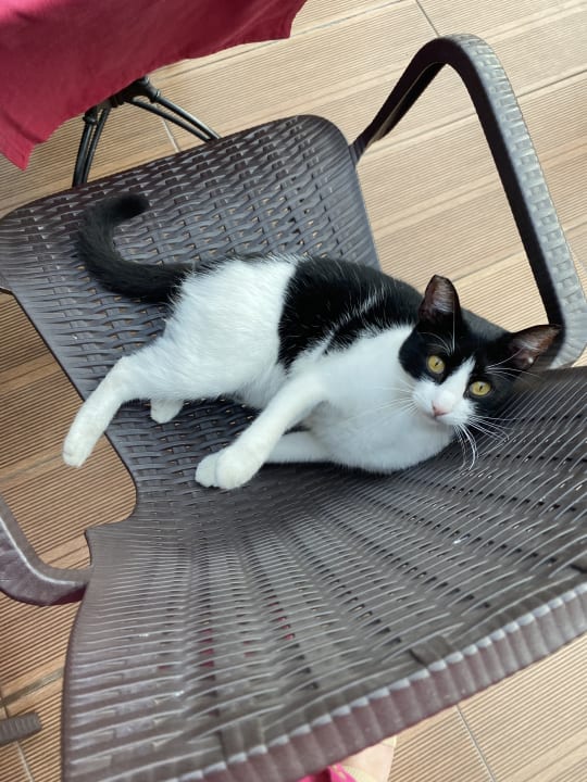 Ausblick Side Aquamarin Resort & Spa