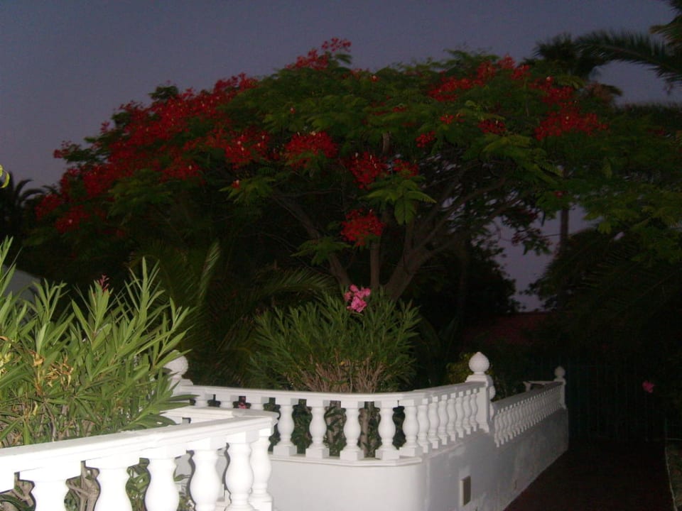 Bungalow HL Miraflor Suites Hotel