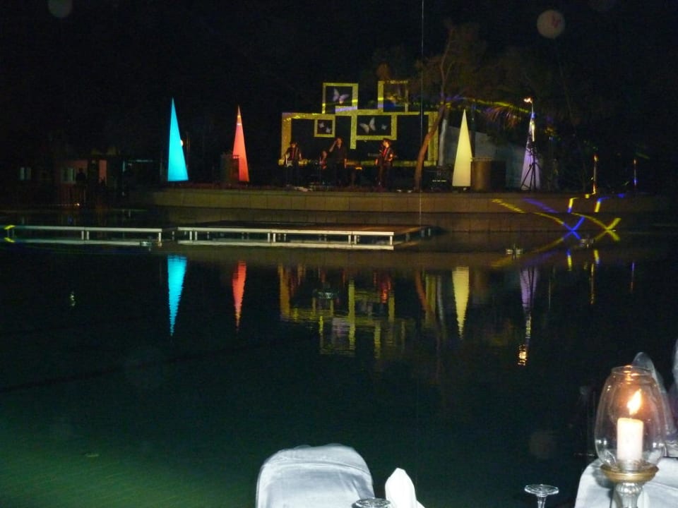 Uroczystość Papillon Ayscha