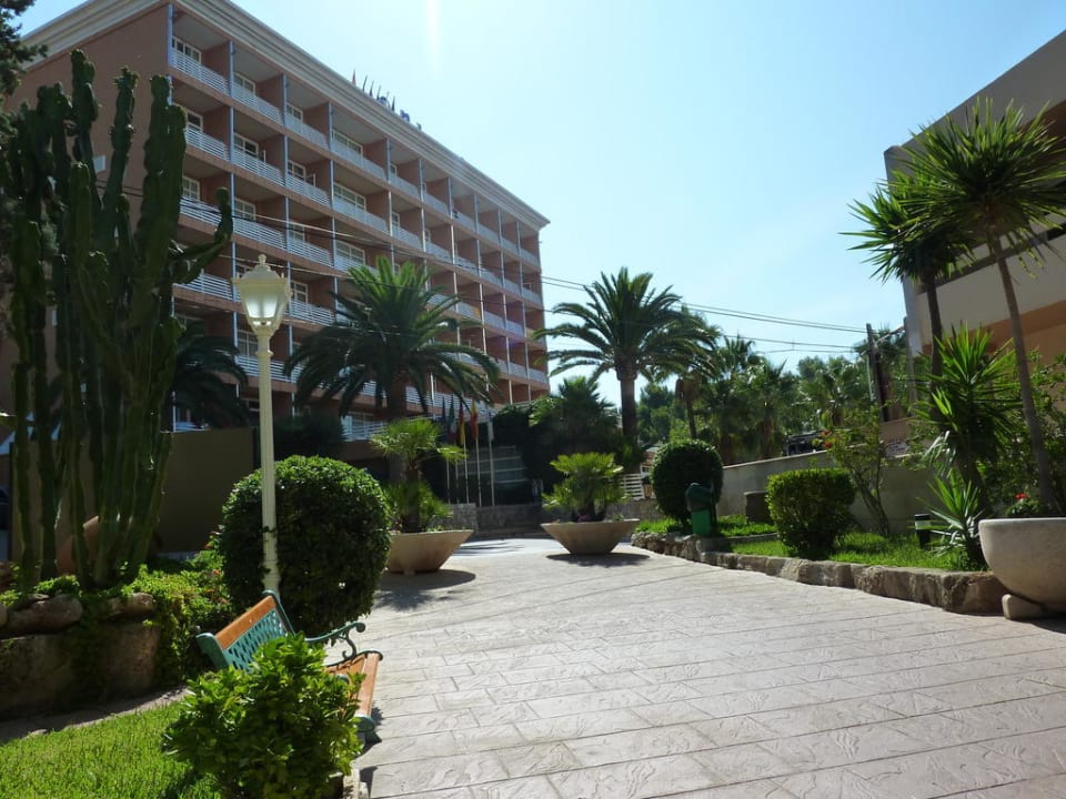 Wlilkommen im Reine Paguera! Valentin Reina Paguera