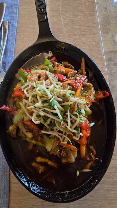 Gastro Seashell Vega