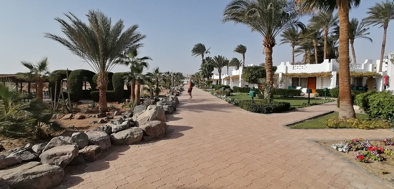 Gartenanlage Shams Safaga Resort
