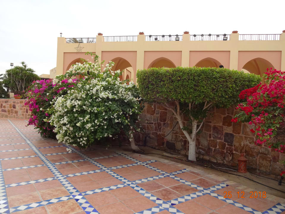 Gartenanlage Steigenberger Coraya Beach - Adults only