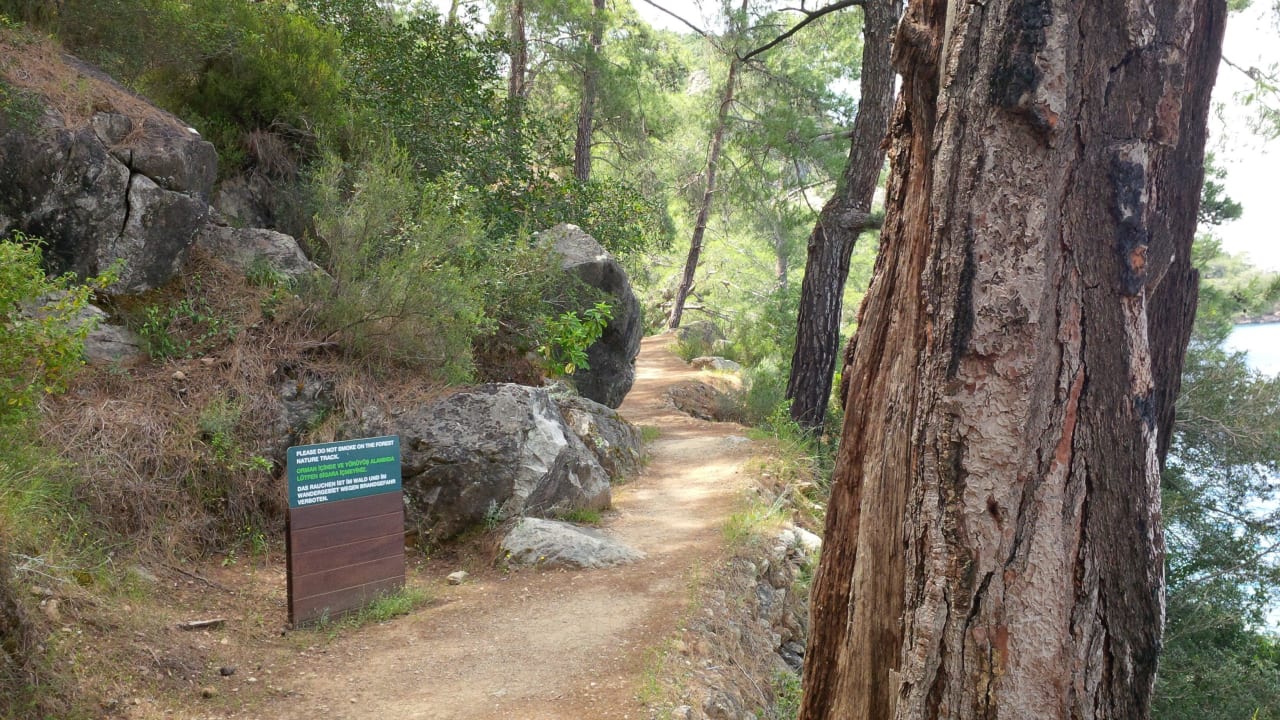 Der Weg zum Serenity Beach 650m Hillside Beach Club