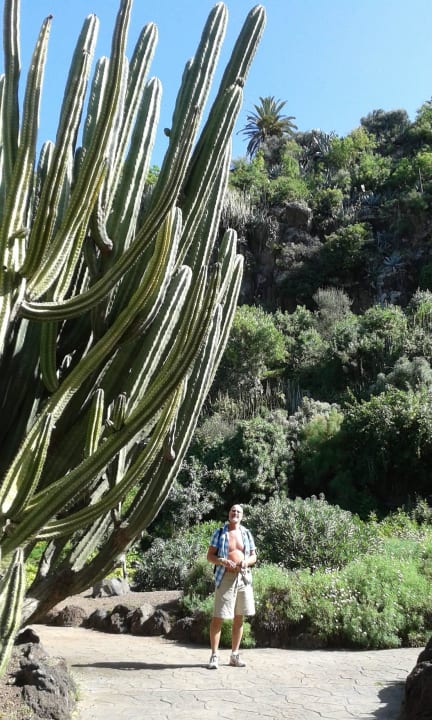 Botanical garden LABRANDA Marieta - Adults only