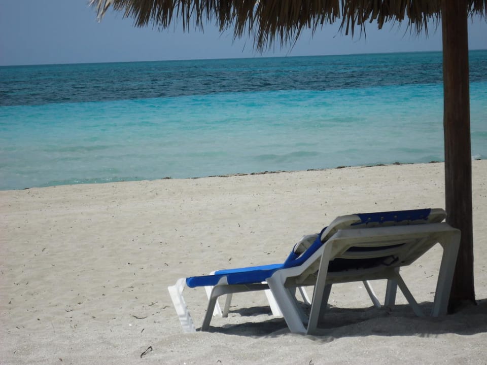 Immer ein Platz frei in der 1.Reihe Paradisus Princesa del Mar Resort & Spa - Adults only