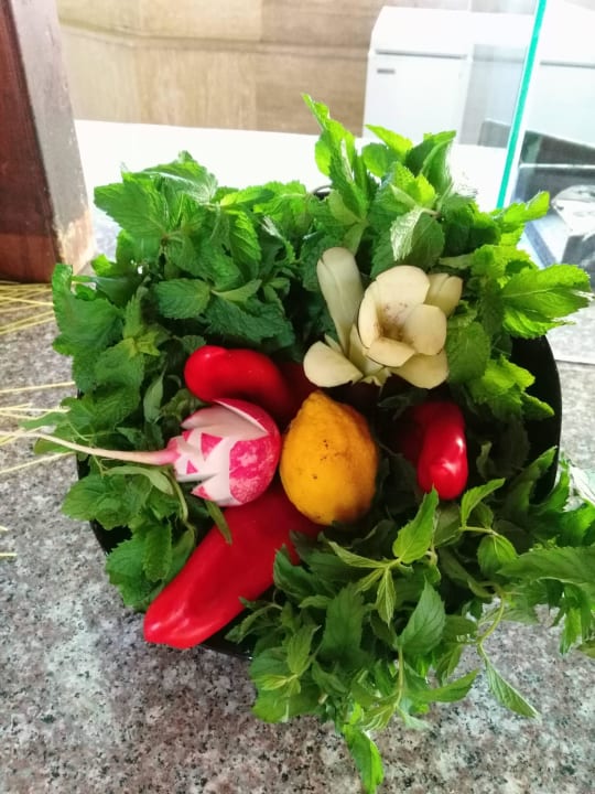 2016' Monachus Family Resort Sorgun