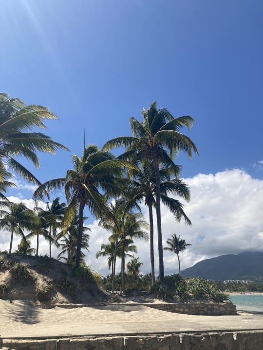 Strand Viva Heavens by Wyndham - All Inclusive Resort