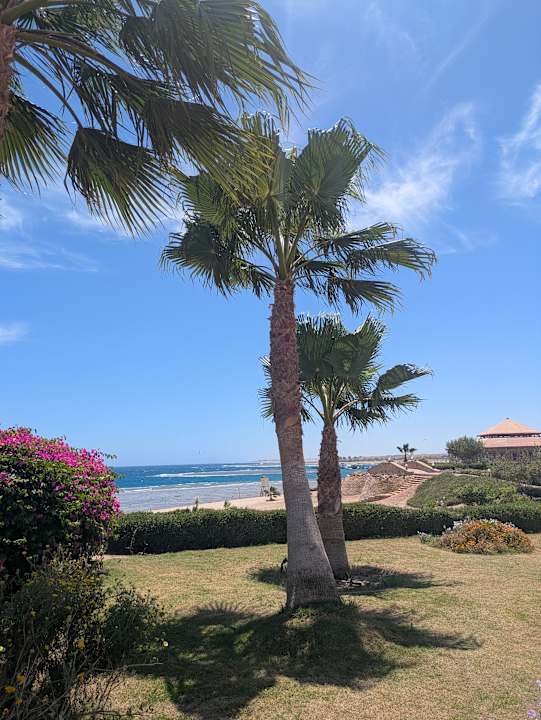 Gartenanlage Three Corners Equinox Beach Resort