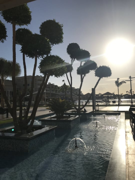 Garten Pickalbatros White Beach Resort - Hurghada