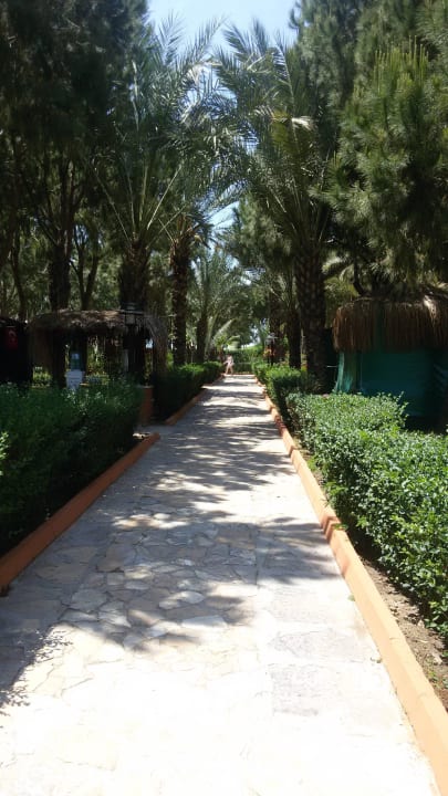 Weg zum Strand 110 meter Club Turtas Beach Hotel