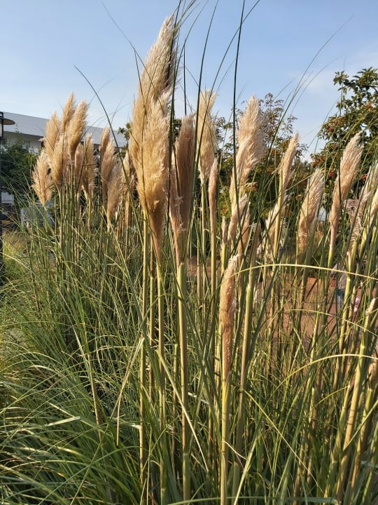 Strand Ferienwohnungen Ferienpark Weissenhäuser Strand