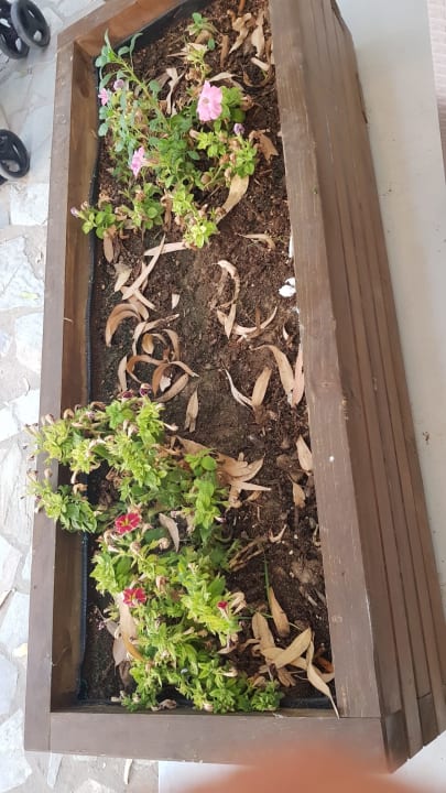 Sonstiges Smy Kos Beach & Splash