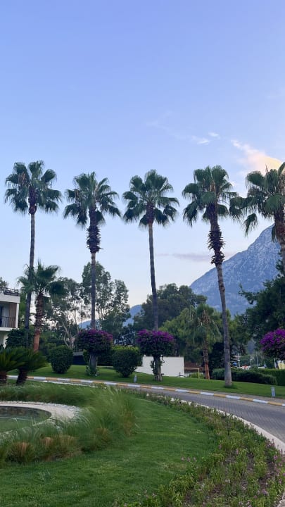 Sonstiges TUI MAGIC LIFE Beldibi +16