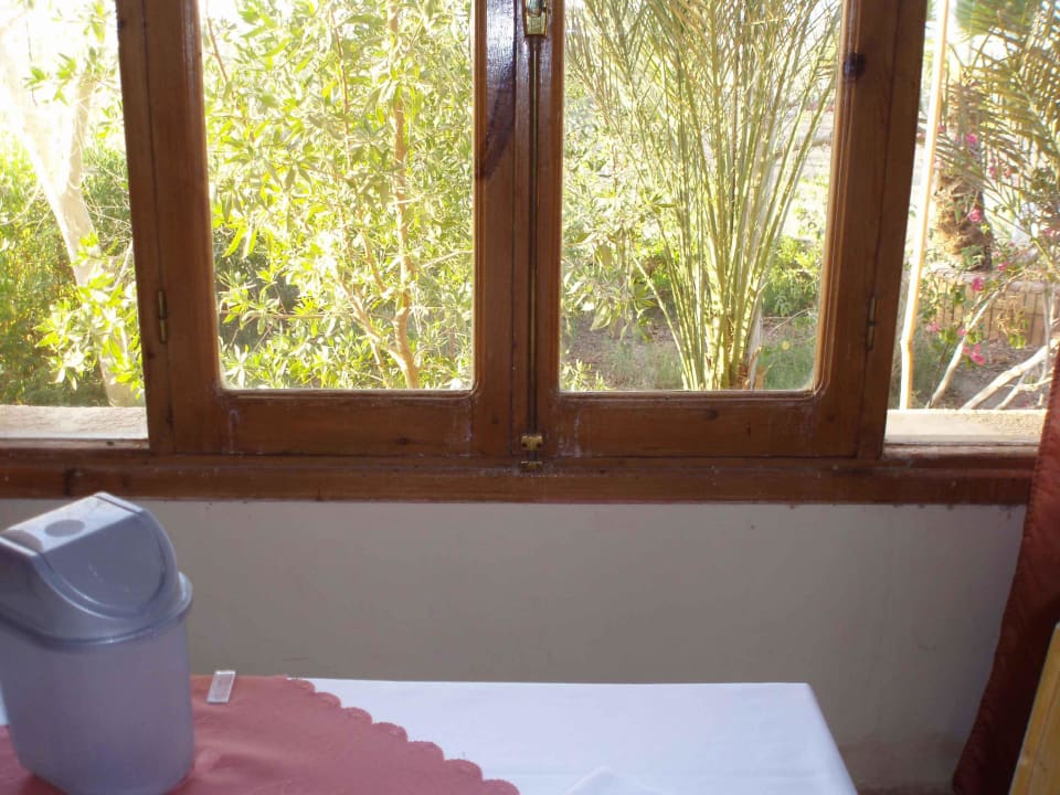 Vogelkot auf dem Fensterrahmen, am Tisch Sea Hug Resort