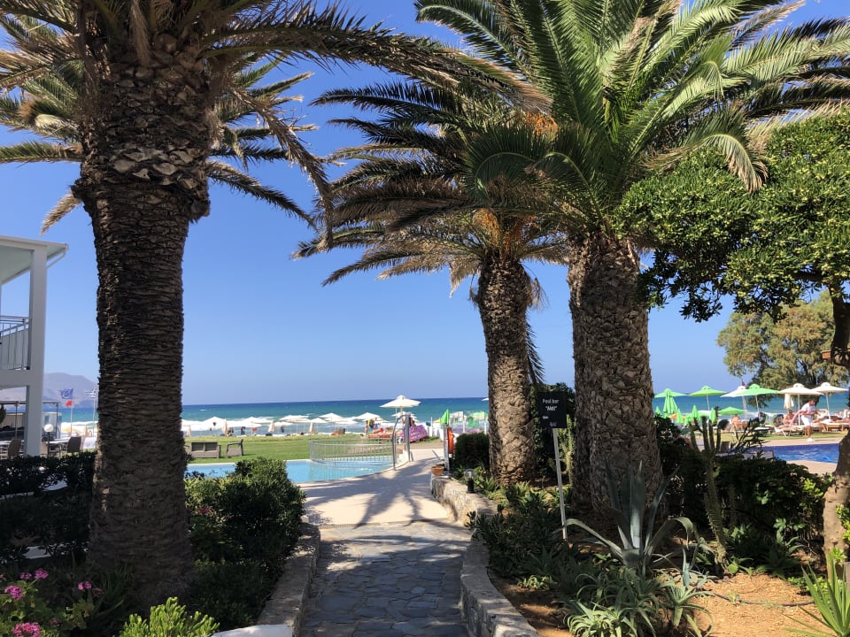 Gartenanlage HARPIN Happy Days Beach Hotel