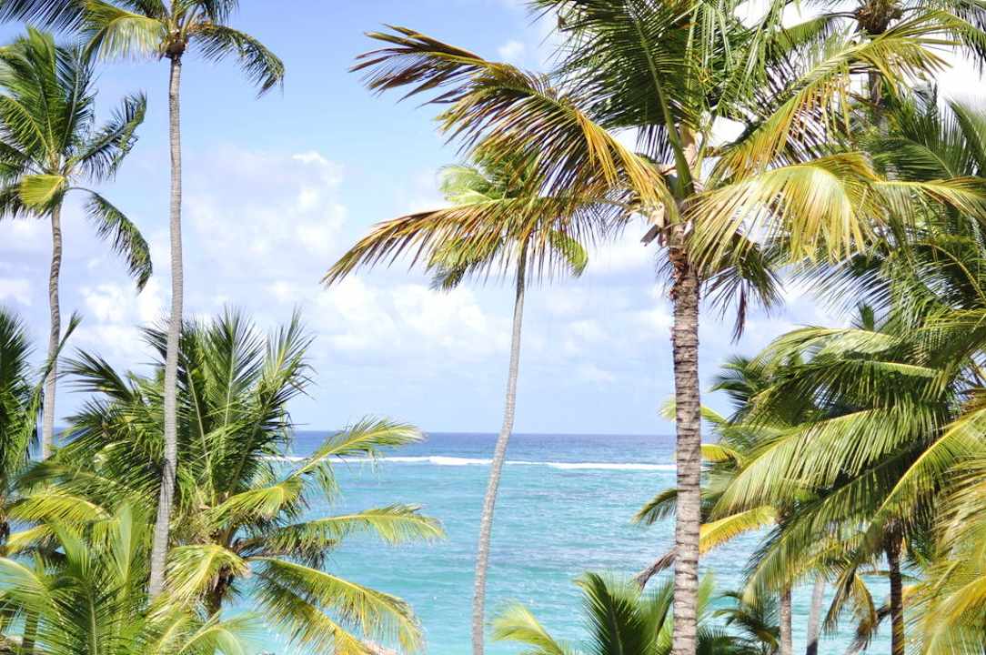 Ausblick von der Honey Moon Suite TRS Turquesa Hotel - Adults only