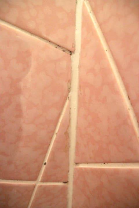 Schimmelbefall Bad Hotel Reetdachhaus Gräftendiek Drei