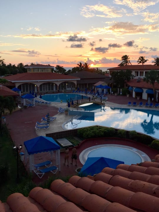 Pool Starfish Cuatro Palmas