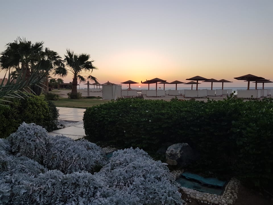 Strand Shams Prestige Abu Soma-Adults Only