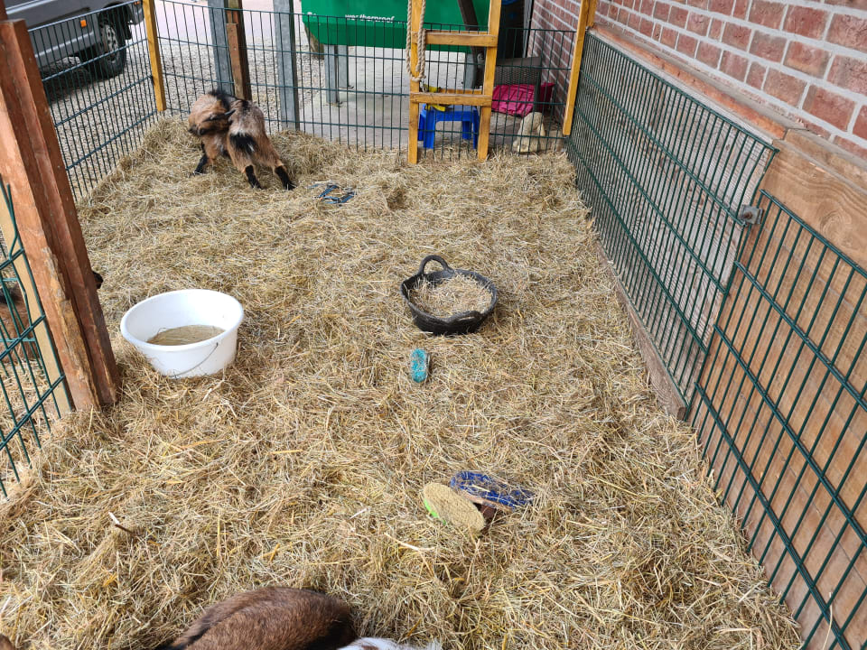 Sport & Freizeit Reitercamp Hötzenhof