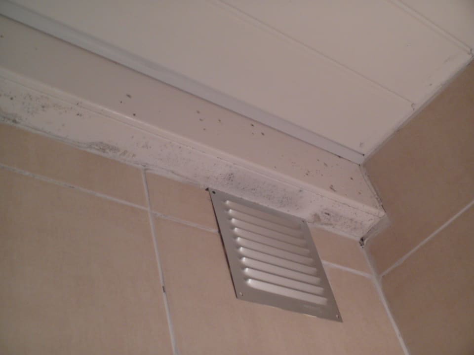 Schimmel Badezimmer Hotel Laurence